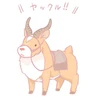 Nashiko24