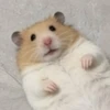 はるな