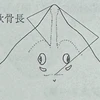 tinyboy
