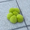abenatsumi