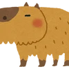kiima