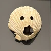 pipopahohoho
