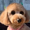こ