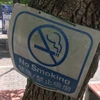 ヒワ