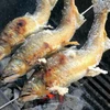 鮎の塩焼き