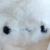 眠杉謙信