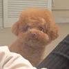 ゆ
