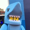 こたにし