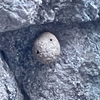 362