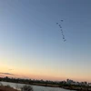 タカコ