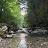 わか