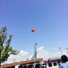 の