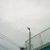 いっさ