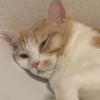 まる