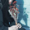 kimisekai96