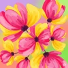 imk
