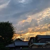 まよ