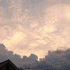 株式会社キタムラ