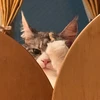 パン大好き