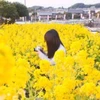 の