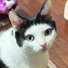 あっぷる