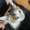 あらいあかね