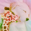 れん