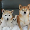 みーほー