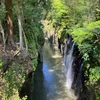 TaraTara