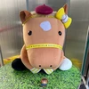 わかみ