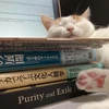東京都立大学社会人類学研究会