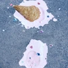 パピコ