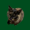 Gakky