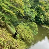 市中の山居