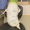 レジオネラ太郎