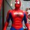 spider-web