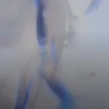 エ