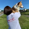 ぴのはっち