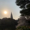 YoshiharuGomi
