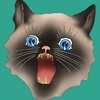 のわーる