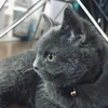 むー