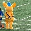luckpon