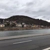 sushigang2