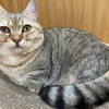 えま