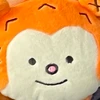 記録