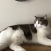 たくあんたくお
