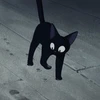 みかんこ