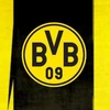 bvb0312