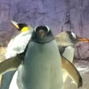 2002