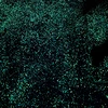 01112509